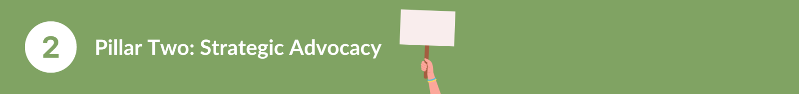 Pillar Two: Strategic Advocacy