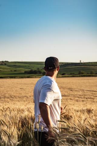 Photo of a Man in a Wheat Field